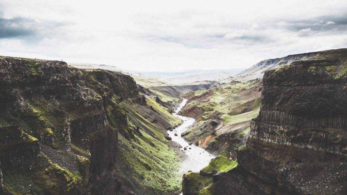 norbert-von-niman-354583-unsplash-e1546867131350